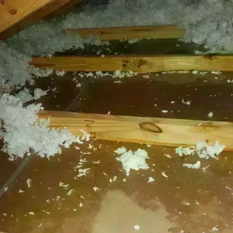 Attic Water Damage in Springfield, NH