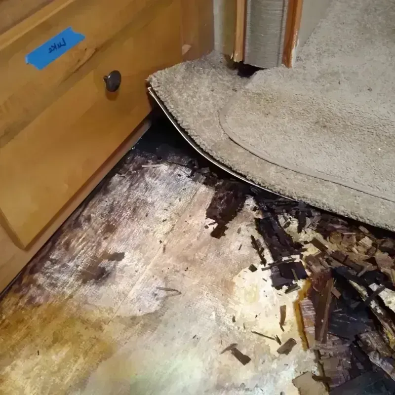 Wood Floor Water Damage in Springfield, NH